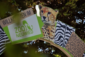 zoo-neuwied-2018-06-30-0001.jpg